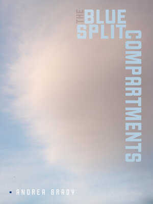 cover image of The Blue Split Compartments